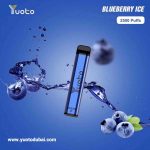 Yuoto XXL Blueberry Ice 2500 Puffs