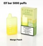 Elf Bar 5000 Puffs Disposable vape dubai