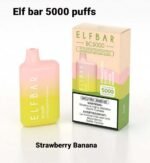 Elf Bar 5000 Puffs Disposable vape dubai