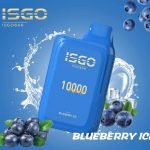 ISGO Bar 10000 Puffs Blueberry ice Disposable Vape