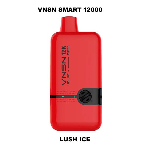 VNSN Smart 12000 puffs Lush ice 1