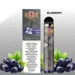 vicig Disposable vape 1500 puffs