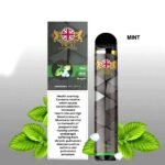 vicig Disposable vape 1500 puffs