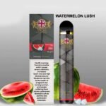 vicig Disposable vape 1500 puffs